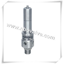 API Air Compressor Type Spring Safety Valve (KA61Y)